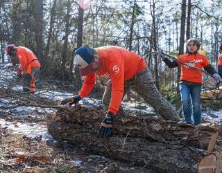 McNairy County, Tennessee - Winter Storm Fern Response