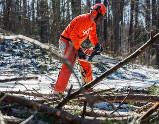 New Albany, Mississippi - Winter Storm Fern Response