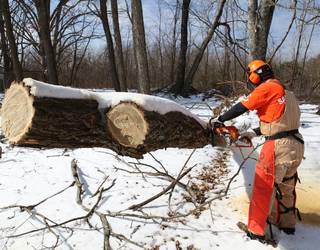 Oxford, Mississippi - Winter Storm Fern Response