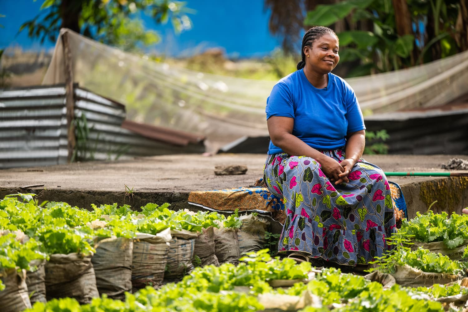Tutu smiling sitting in a vegetable garden amongst leafy greens