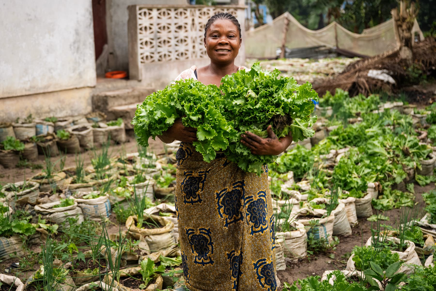 Tutu holds harvested lettuce.