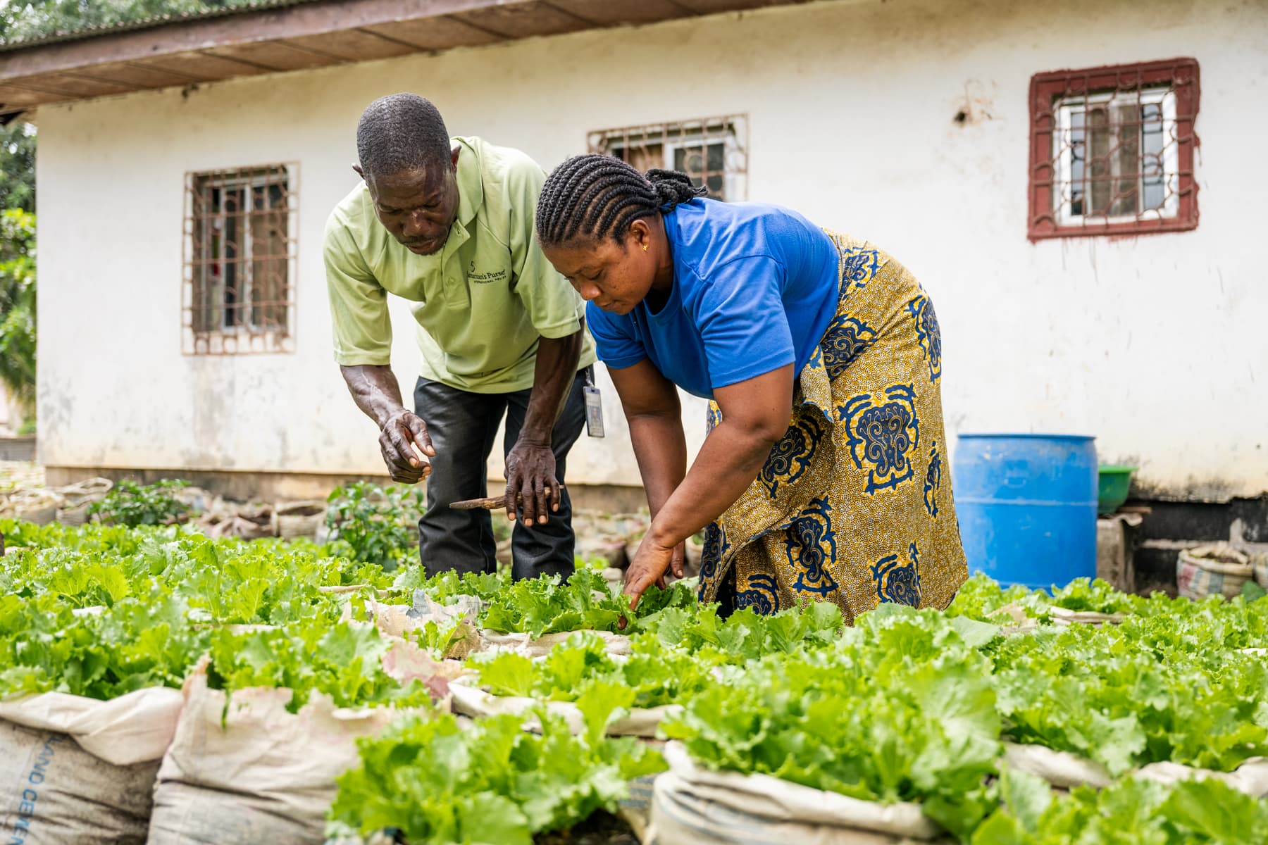 Moses, an Eden Projecct trainer works with Tutu.
