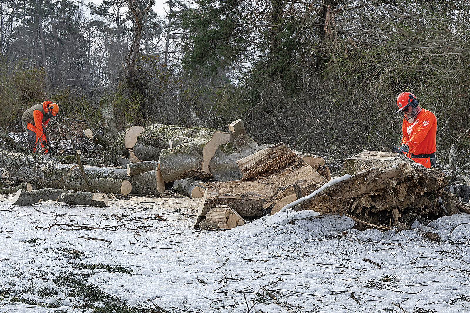 Samaritan's Purse disaster relief team working in the snow sawing and removing fallen trees