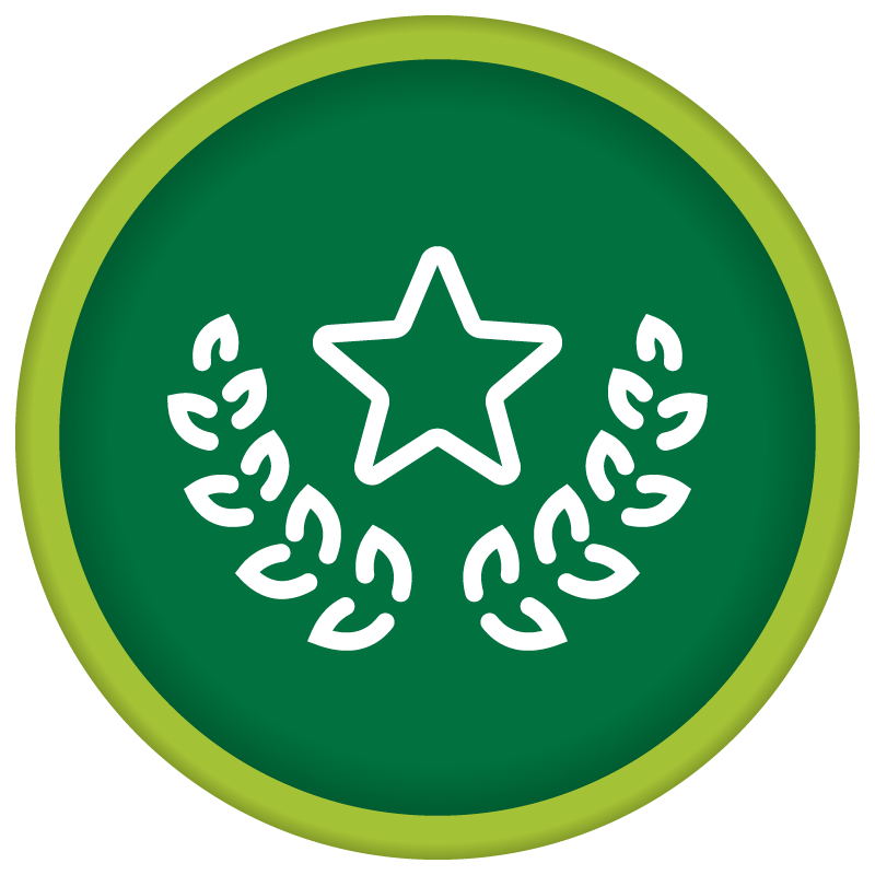Icon with star encircled by olive branches